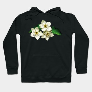 Apple Blossoms - Three Apple Blossoms Hoodie